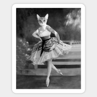 Cat Dancer Sticker